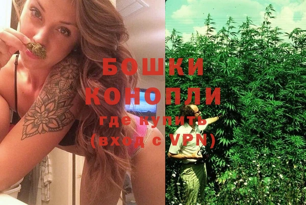 шишки Беслан