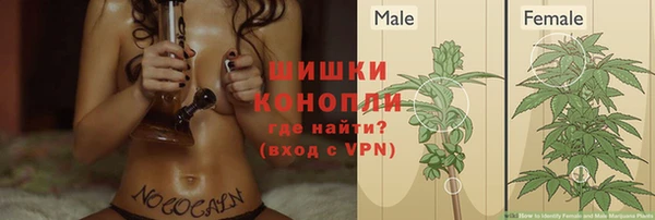 марки lsd Пересвет