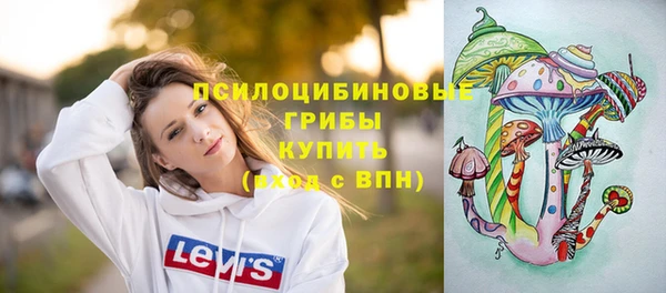 марки lsd Пересвет