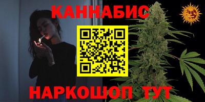 прущие крисы Партизанск