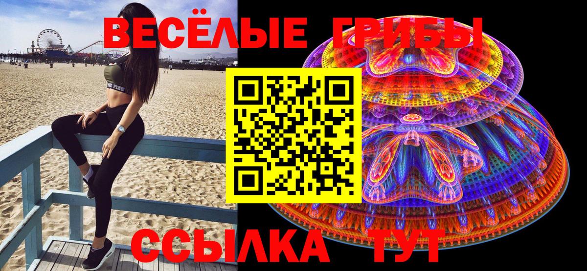 Галлюциногенные грибы Cubensis  Вход с VPN  Дальнереченск 